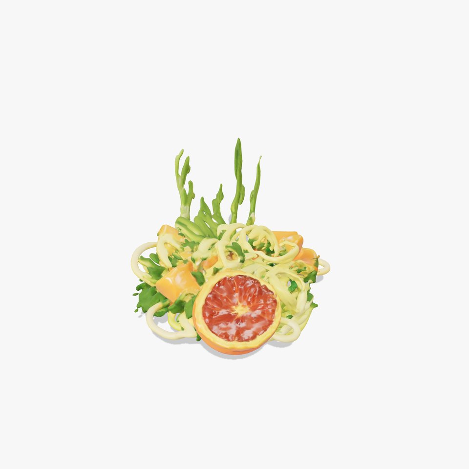 Citrus Salad Plate model pack